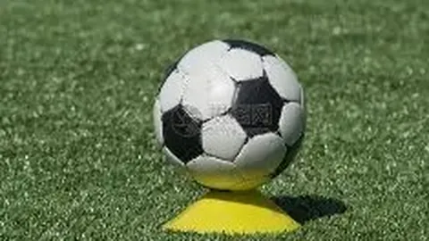 od体育 资讯 133447 qs9